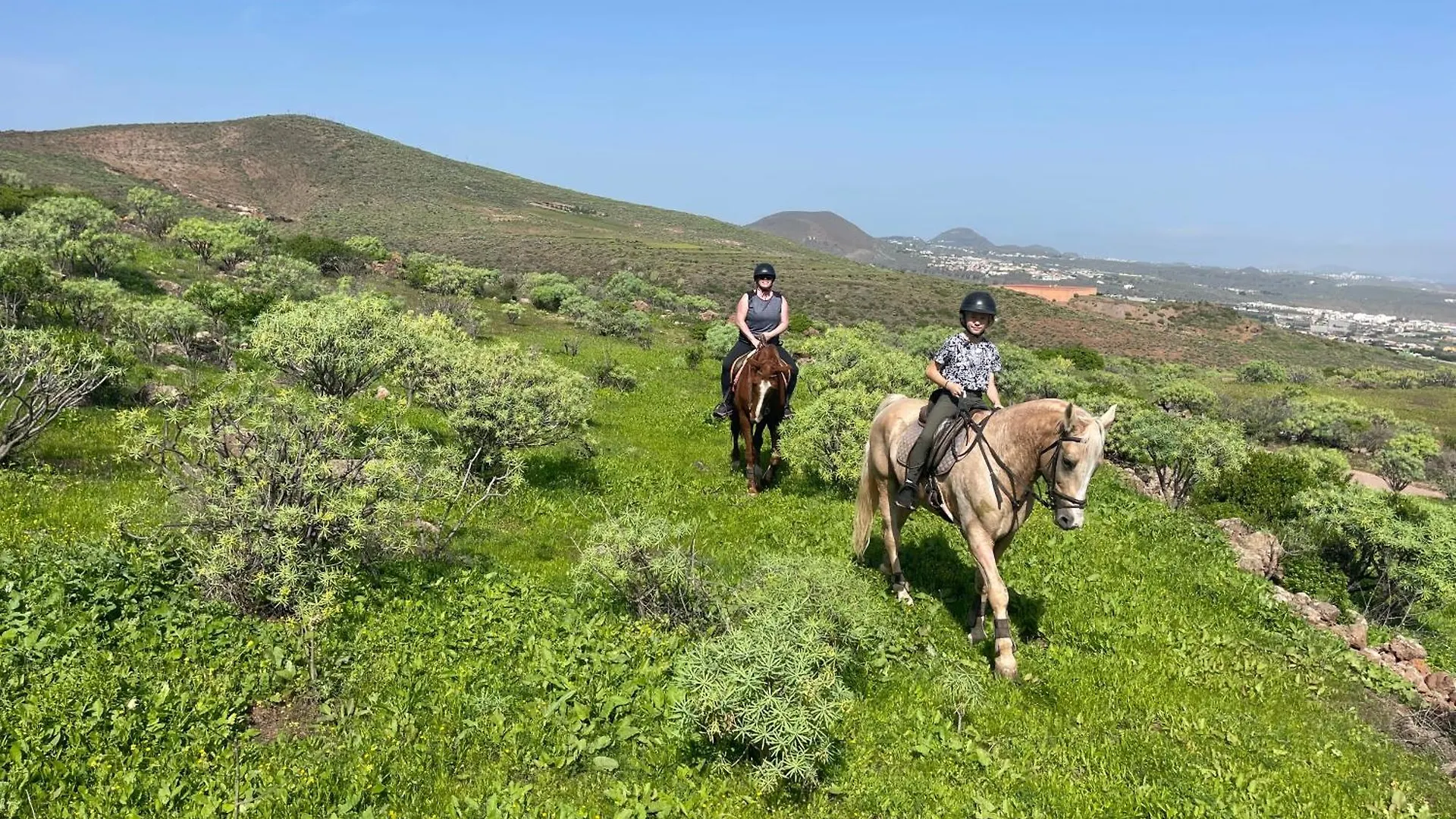 Pet Friendly Home In Gran Canaria Ojos de Garza 0*,  Spain