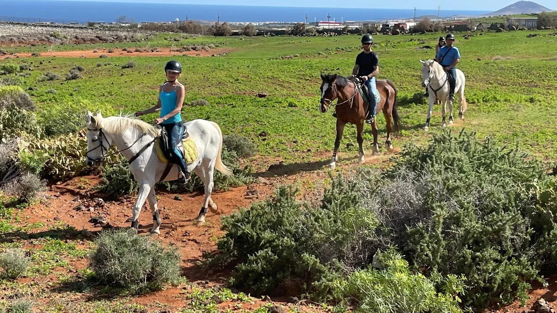 Pet Friendly Home In Gran Canaria Ojos de Garza Spain